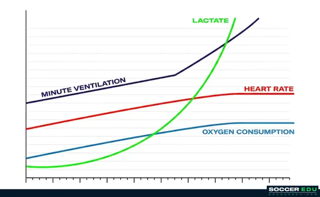 Lactate Production at MAS